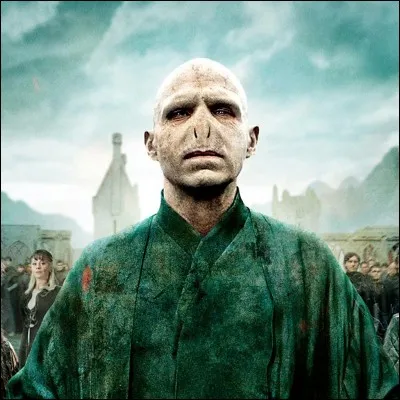 Quel est le vrai nom de Voldemort ?