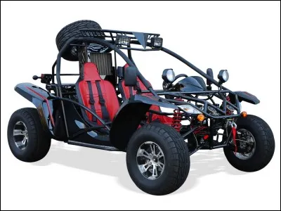 Mais j'utilise aussi ce(tte)...