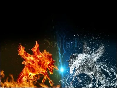 Quel est ton élément favori ?