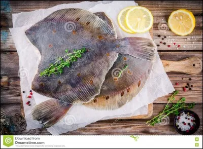 Aimes-tu manger du poisson, des crevettes et du poulain ?