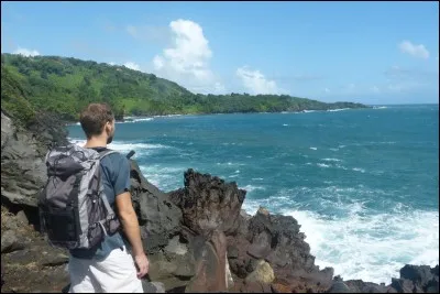 Qui chante : "C'est pas l'homme qui prend la mer, c'est la mer qui prend l'homme" ?