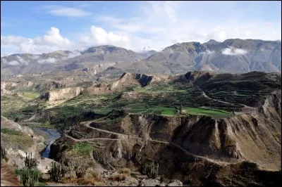 Oubliez le vertige, c'est le deuxi&egrave;me canyon le plus profond au monde (3 400 m). Le paysage y est grandiose avec au loin, des glaciers et des volcans. Au fond, la rivi&egrave;re du m&ecirc;me nom serpente &agrave; travers des cultures en terrasses qui datent des lointains Incas.