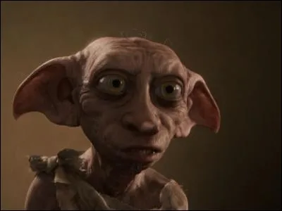 Veux-tu un elfe de maison ?