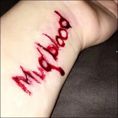 Que penses-tu des Sangs-de-Bourbes ?