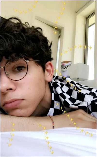 Quels sont les animaux préférés de Sulivan ?