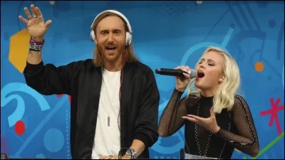 D - Quel ''David'' a composé l'hymne de l'Euro 2016 se déroulant en France ?