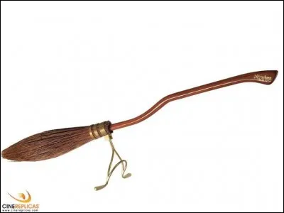 Qui a donné le Nimbus 2000 à Harry Potter ?