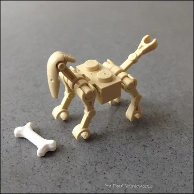 Comment s'appelle le chien du squelette ?