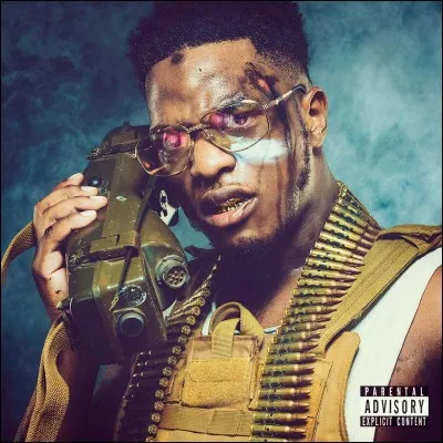 Les Enfoirés auraient demandé à Niska, s'ils pouvaient reprendre "Réseaux" très gros tube de ce dernier et il n'aurait pas accepté.