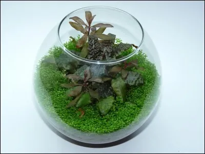 Comment appelle-t-on ceci ?