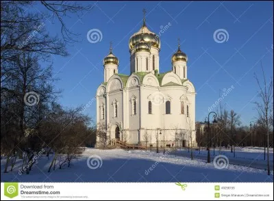 Entre la Tunisie et l'Égypte, quelle est la plus grande diaspora en Russie ?