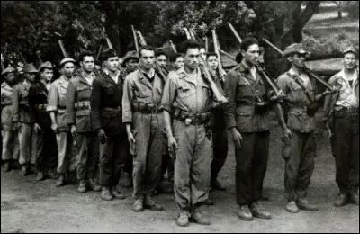 En quelle année a été créé le Front de libération nationale ?