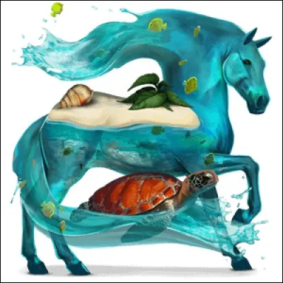 Quel est ce cheval nomade ?