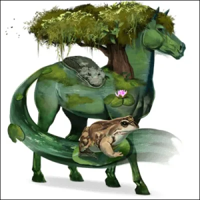 Quel est ce cheval nomade ?