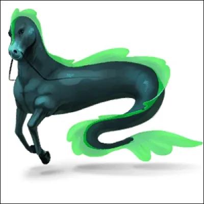 Quel est ce cheval nomade ?