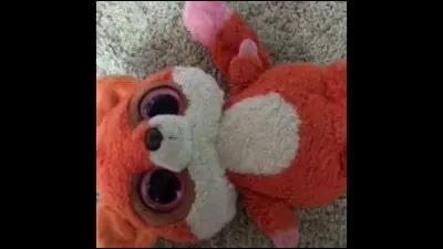 Ruby and Doudou lapin sont :