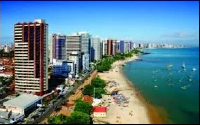 Quelle est la capitale du Brésil ?