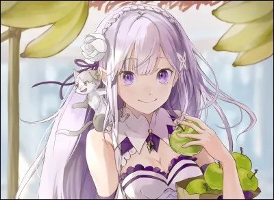 Quel est le vrai nom de ce personnage de "Re Zero" ?