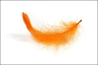 Qui a été le mentor de Plume Rousse ?