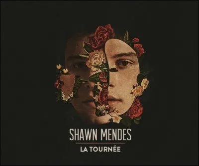 En quelle année s'est-il fait connaître ?