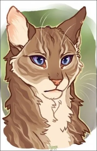 Plume Grise a-t-il des frères ?