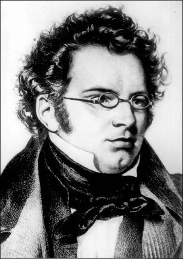 Je suis d'origine autrichienne et suis ''le matre incontest du lied''.