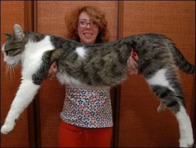 Est-ce réel ou imaginaire ?