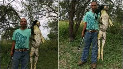 Est-ce réel ou imaginaire ?