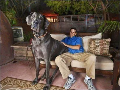 Est-ce réel ou imaginaire ?