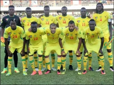 Vrai ou faux : Le Togo s'est qualifié pour la Coupe du monde 2018.
