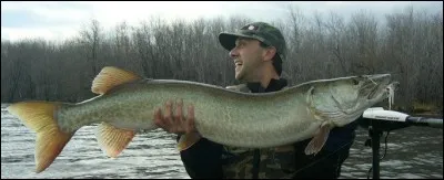 Identifiez ce poisson :