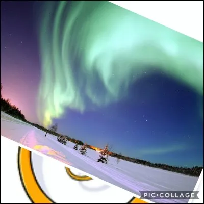 Réussirez-vous à trouver ce que c'est ?