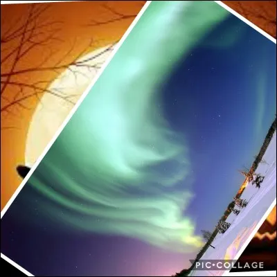 Quelle fête est présente sur ce que vous pouvez voir de l'image ?