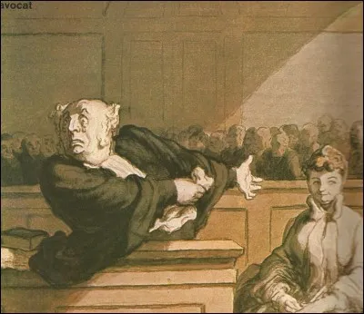 De quel auteur est cette phrase : "Certains avocats, les artistes de la profession, font de leurs causes des maîtresses. Le cas est rare, ne vous y fiez pas" ?