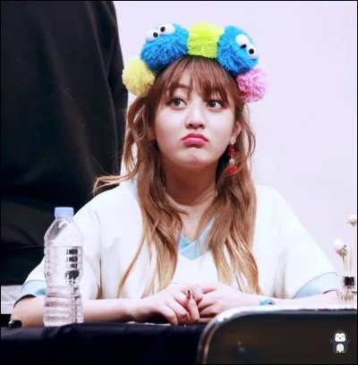 Comment s'appelle cette membre ?