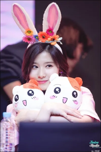 Comment s'appelle cette membre ?