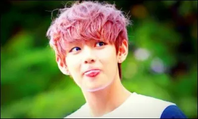 Si tu apprends le cor&eacute;en, c'est pour :