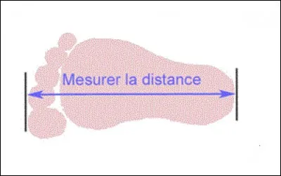 Le pied est une unité de mesure utilisée dans de nombreux pays anglophones. Cela équivaut à une longueur d'environ ...