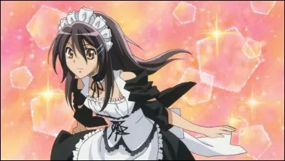 Quel est le rôle de Misaki au lycée ?