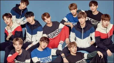 Les Wanna-One sont un groupe...