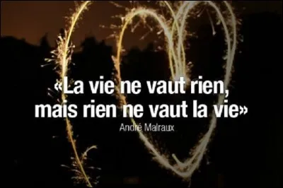 Quel chanteur nous dit que 'La vie ne vaut rien' ?