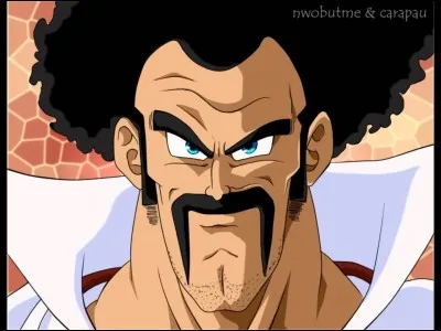 Comment s'appelle la technique ultime de Mister Satan ?