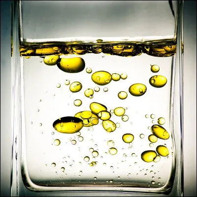 Les lipides sont des matières grasses...