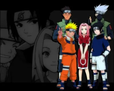 Dans ''Naruto'' tu préfères...