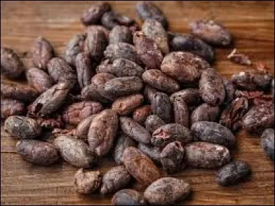 À quoi servent les fèves de cacao ?