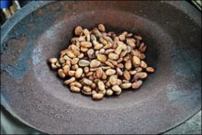 Sur la photo, on peut voir des fèves de cacao...
