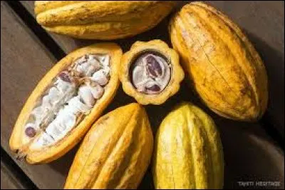 La chair du cacao est riche en magnésium.