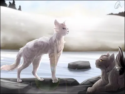 Comment se nomment les petits d'il Blanc ?