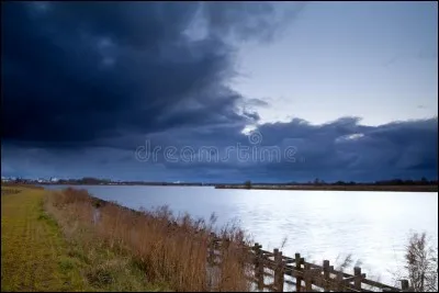 Comment est mort Étoile de Grêle ?