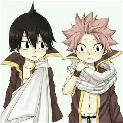 Zeleph et Natsu sont frères.